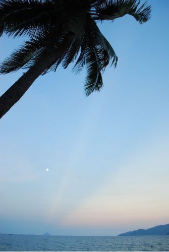 [2013/10/01]椰子と月と海と
