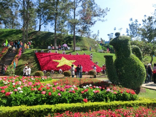花で作られたベトナム国旗