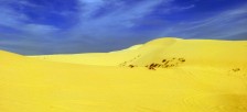 ムイネーの白砂の砂丘と黄砂の砂丘という2つの砂丘でアクティビティを楽しもう