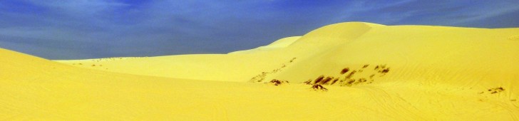 ムイネーの白砂の砂丘と黄砂の砂丘という2つの砂丘でアクティビティを楽しもう