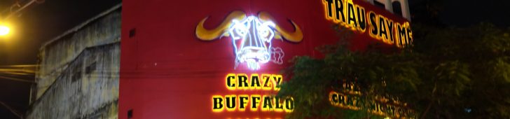 Crazy Buffalo