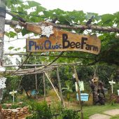 フーコック島の隠れた名物「蜂蜜」の農園へ行ってみよう！