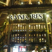 レインフォレスト(Rainforest)